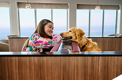pet_lounge.png