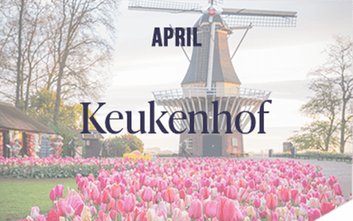 Keukenhof1.png